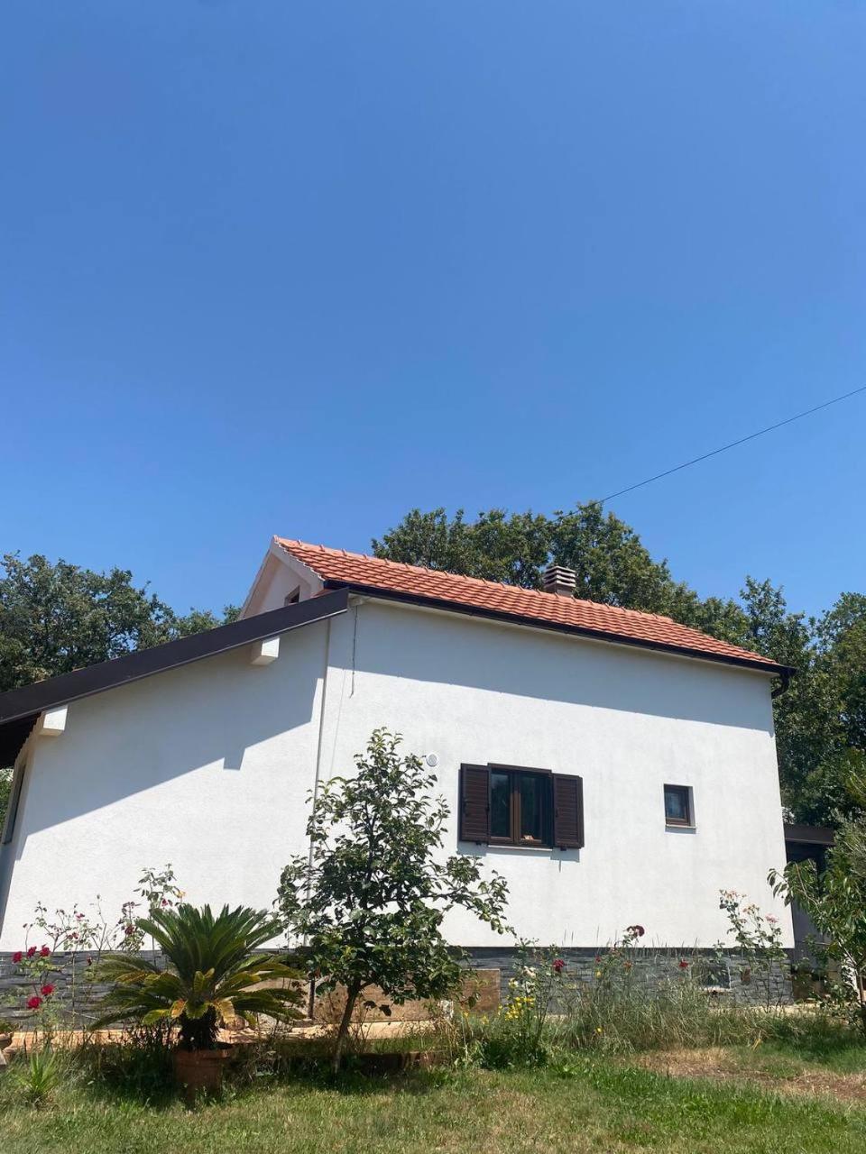 Villa Shu Krimovica 外观 照片